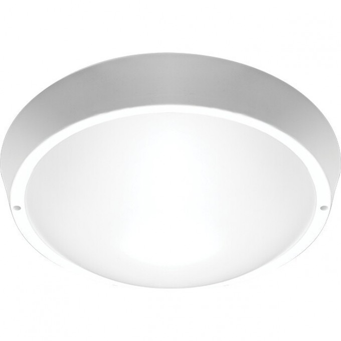 Светильники светодиодные пылевлагозащищенные JAZZWAY PBH-PC-RA 30W 4000K WHITE IP65 5020801 Светильники светодиодные пылевлагозащищенные JAZZWAY PBH-PC-RA 30W 4000K WHITE IP65 5020801